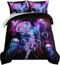 Comforter Set - 3 Piece