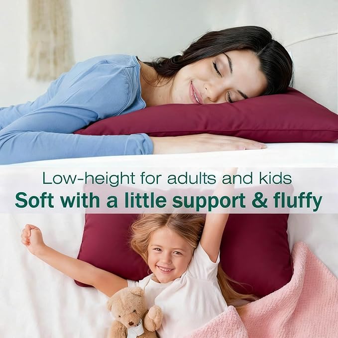 Down Alternative Bed Pillow - Standard - 20 x 26 in - 2 Piece