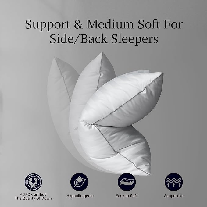 100% Cotton Bed Pillow - Standard - 2 Piece