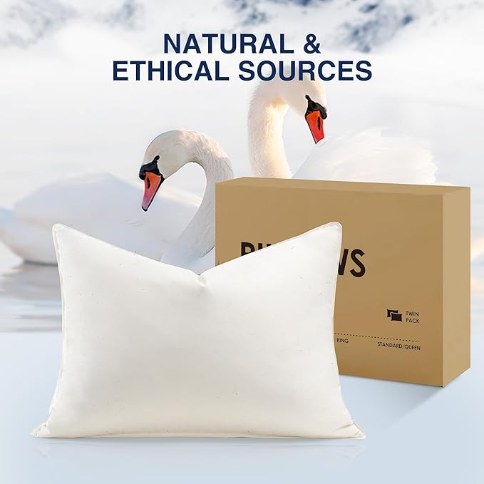 Bed Pillow - Standard - 2 Piece