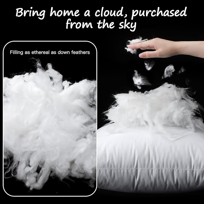 100% Cotton Pillow Insert - 2 Piece