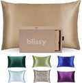 Mulberry Silk Pillowcase - King