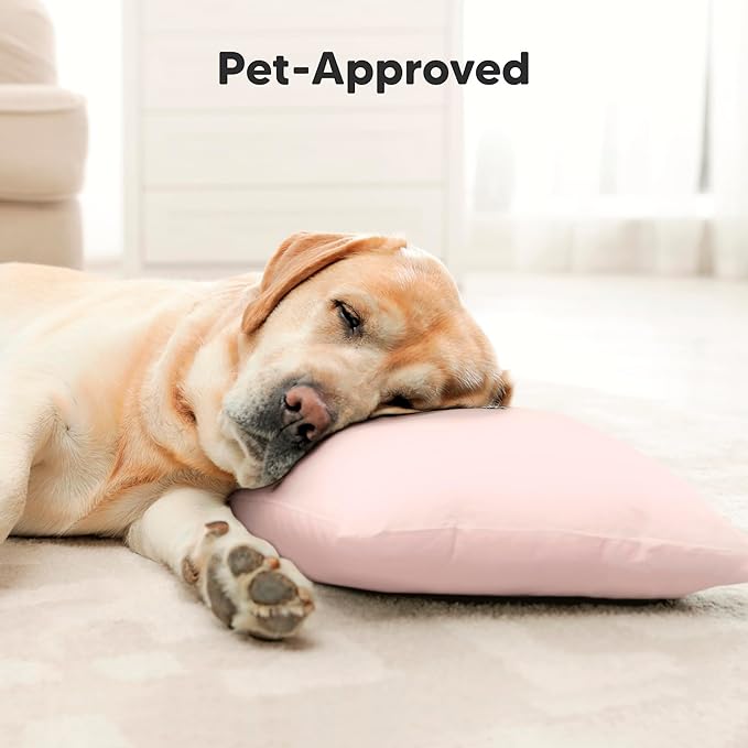 Bamboo Bed Pillow