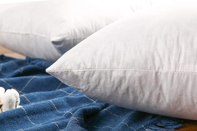 Pillow Insert - 2 Piece