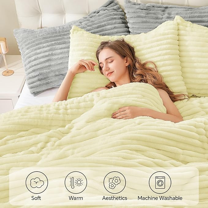 Comforter Set - Twin