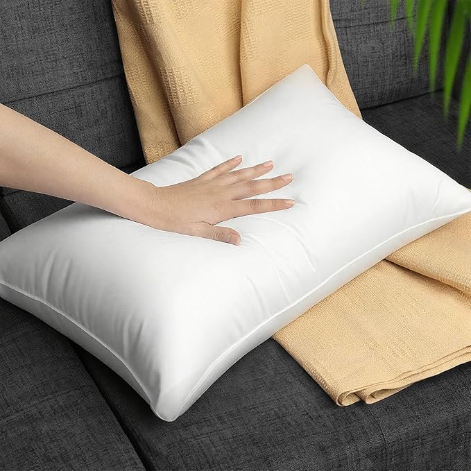 Pillow Insert - 14 x 22 in