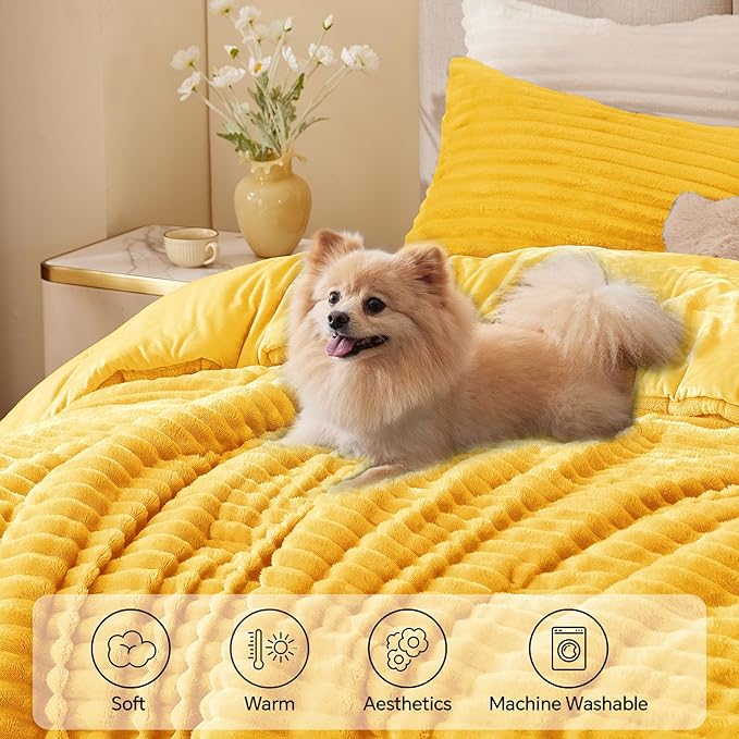 Comforter Set - Queen