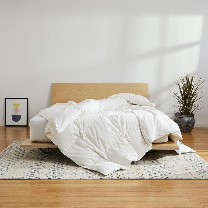 100% Cotton Duvets Down Comforter - Twin XL