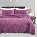 Microfiber Quilt Set - Twin - 2 Piece