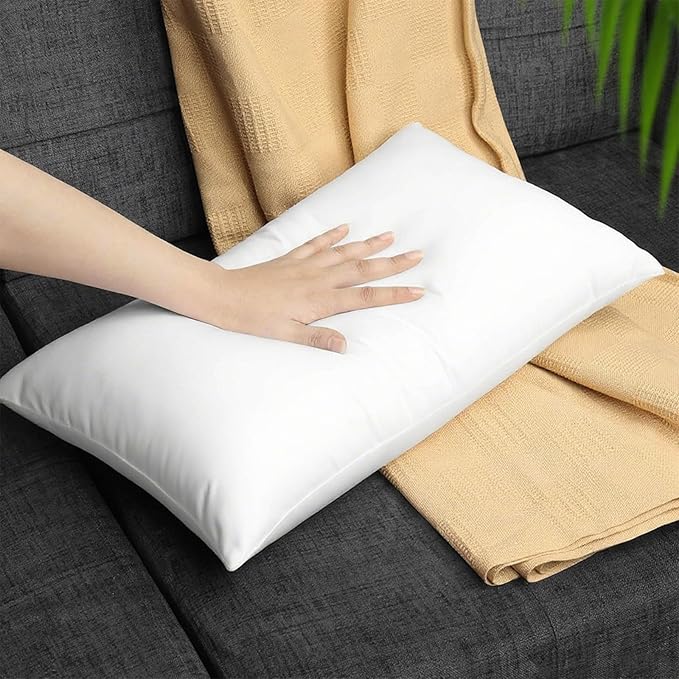 Pillow Insert