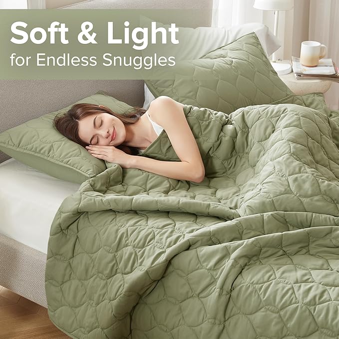 Quilt Set - Queen - 3 Piece