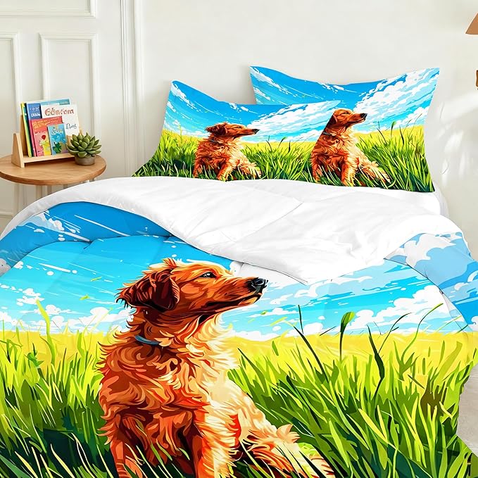Comforter Set - Queen - 3 Piece
