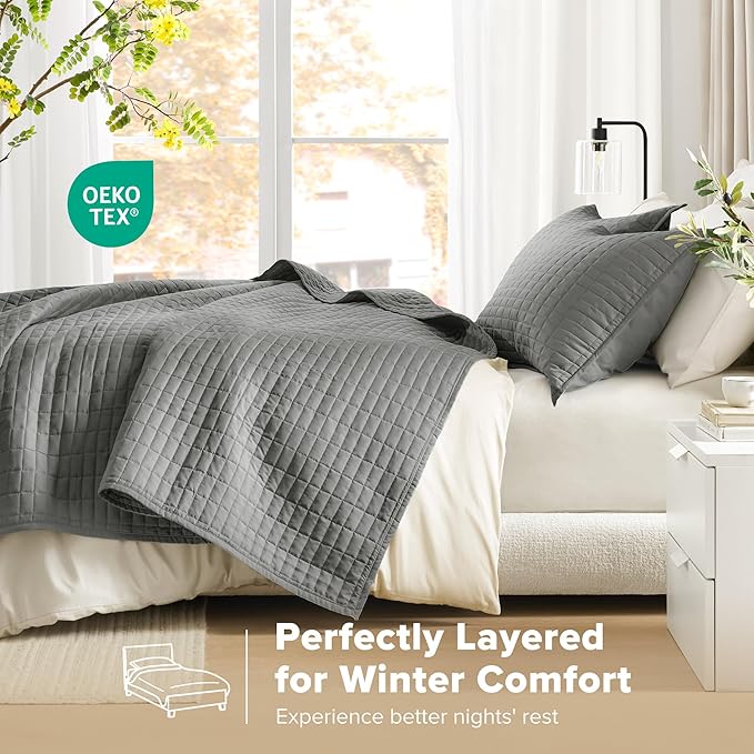 Quilt Set - Queen - 3 Piece