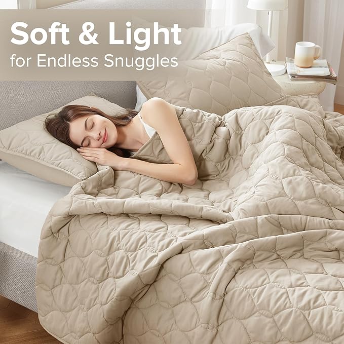 Quilt Set - Queen - 3 Piece
