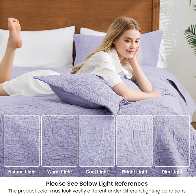 Quilt Set - Queen - 3 Piece
