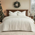 Velvet Quilt Set - Queen - 3 Piece