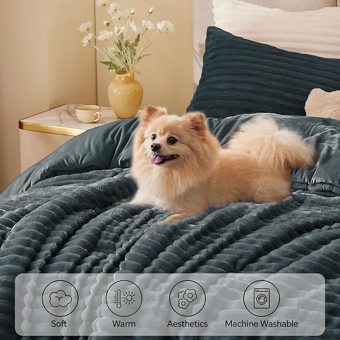 Comforter Set - King