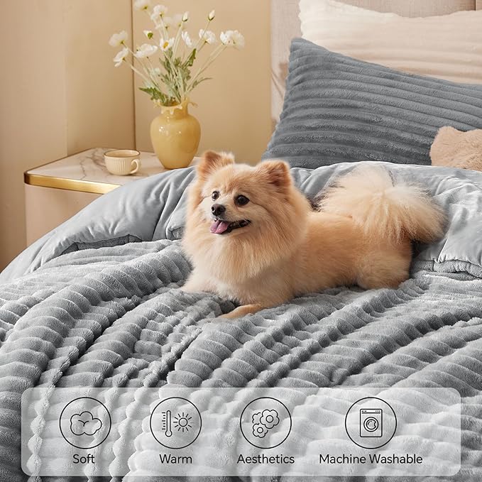 Comforter Set - Full