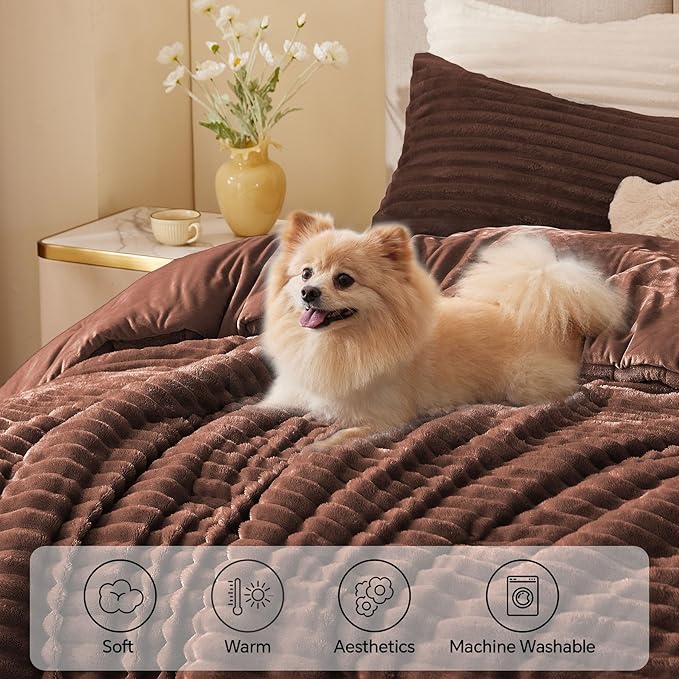 Comforter Set - King