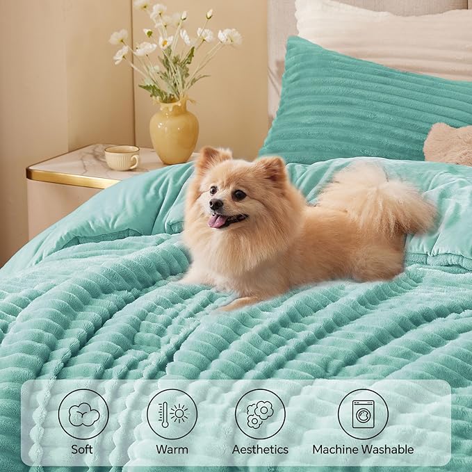 Comforter Set - Twin