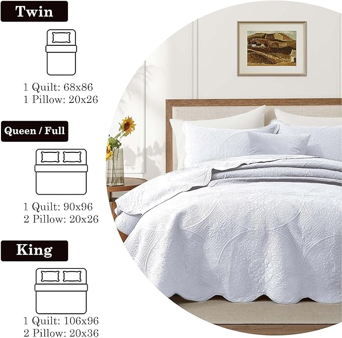 Microfiber Quilt Set - Queen - 10 Pack