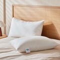 Bed Pillow - King - 2 Pack