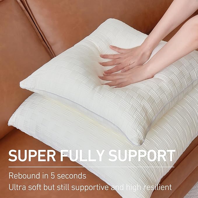 Pillow Insert - 2 Piece