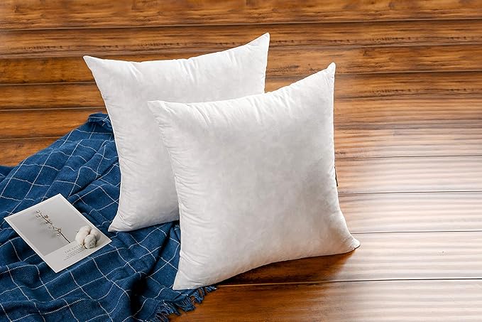 Pillow Insert - 2 Piece