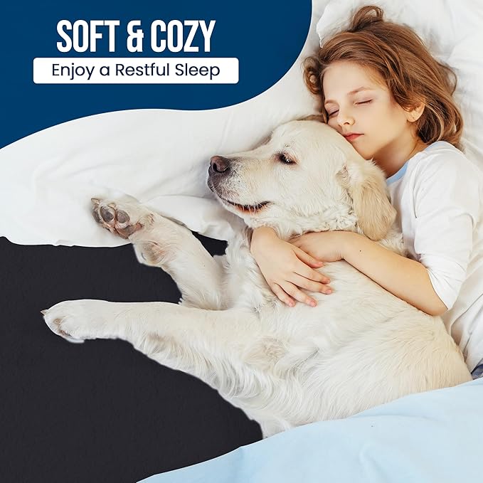 Waterproof Mattress Protector - Queen