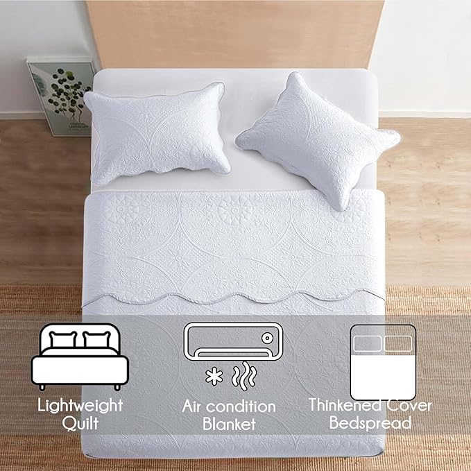 Microfiber Quilt Set - Queen - 10 Pack