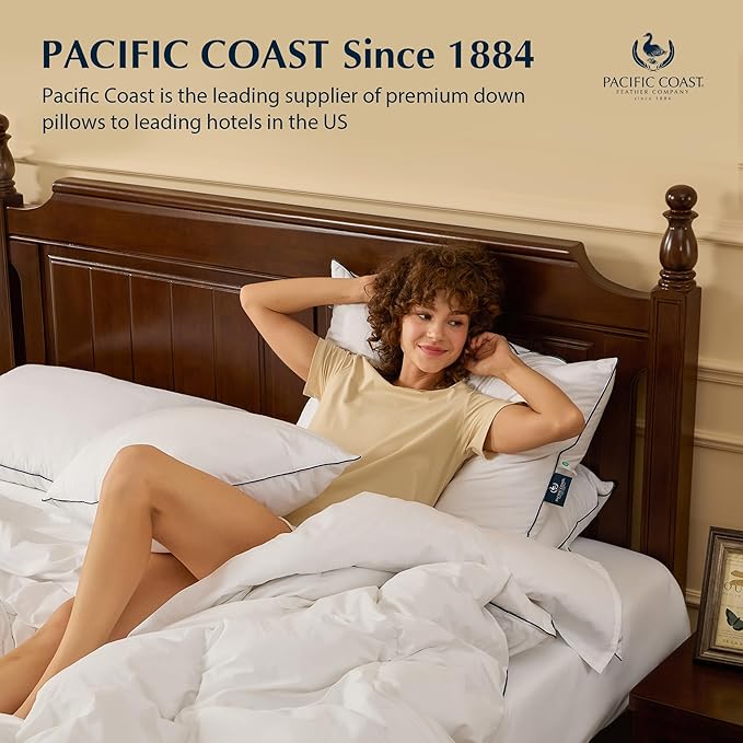 100% Cotton Bed Pillow - Standard - 2 Piece