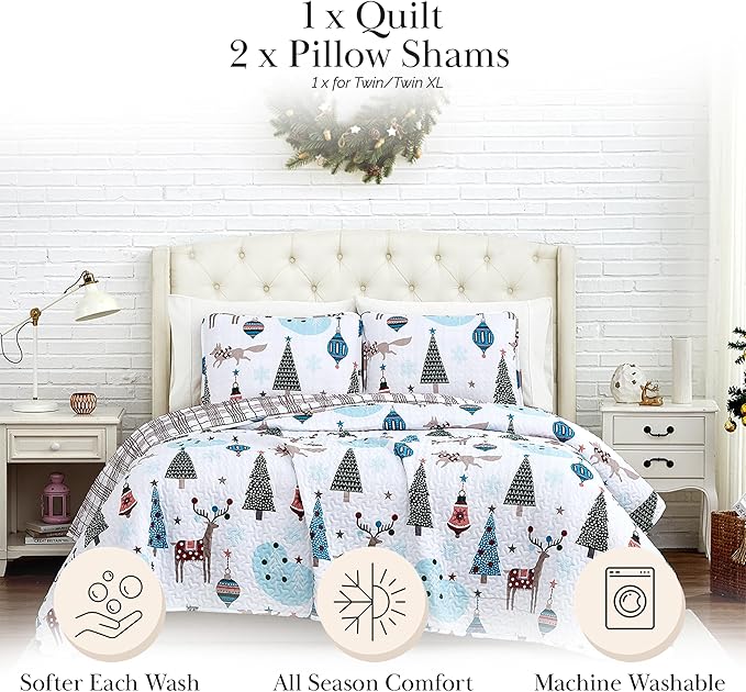 Quilt Set - Queen - 3 Piece