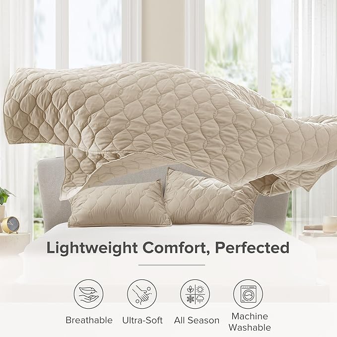Quilt Set - Queen - 3 Piece