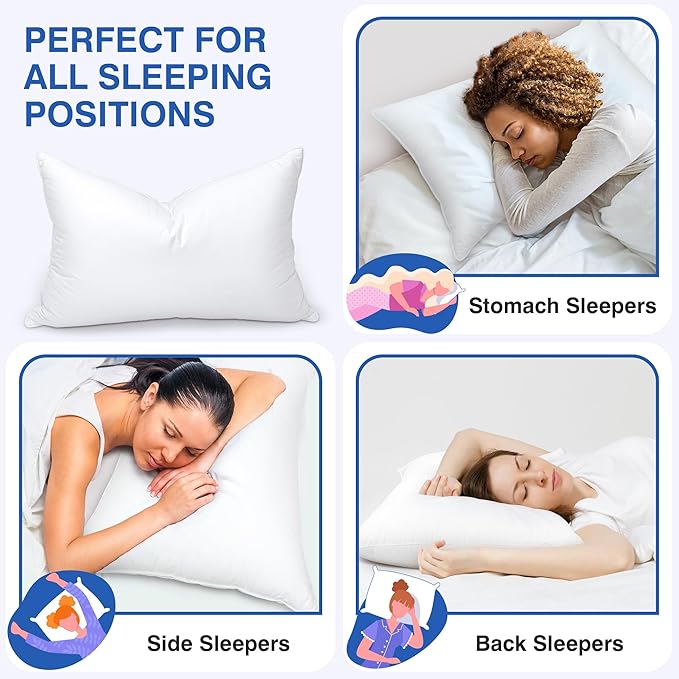 Bed Pillow - Queen - 2 Piece