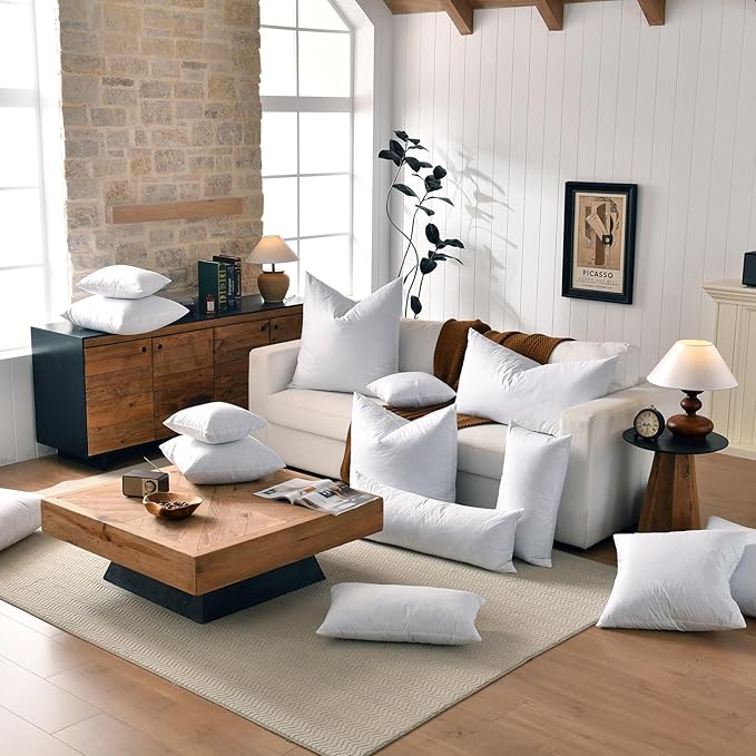 Pillow Insert - 2 Piece