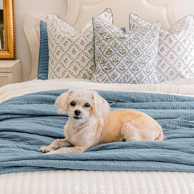 Quilt Set - King - 3 Piece