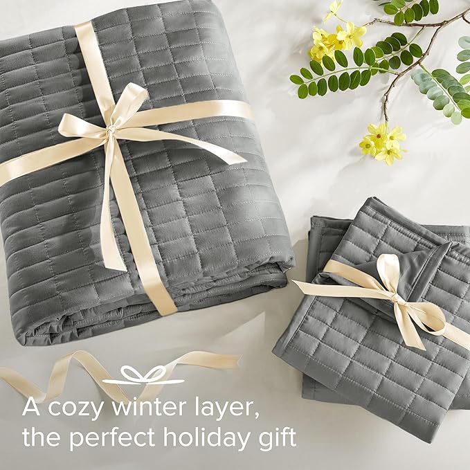 Quilt Set - King - 3 Piece