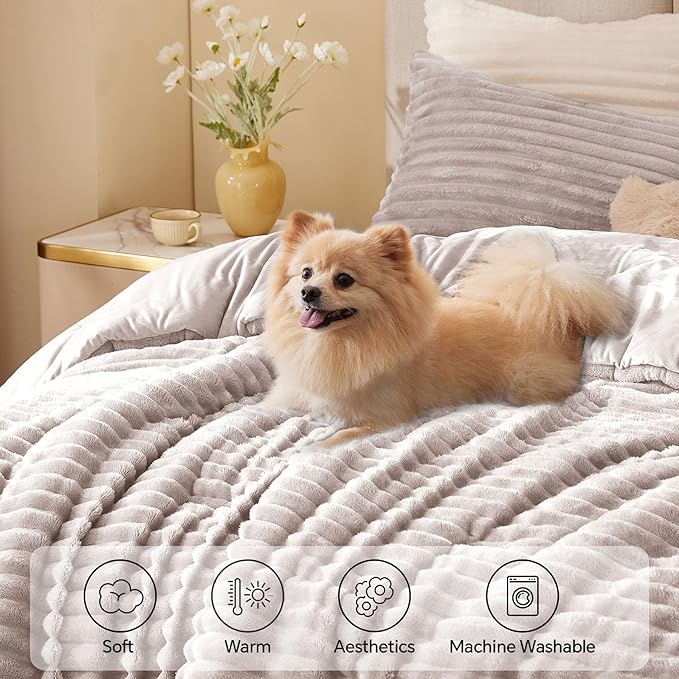 Comforter Set - King