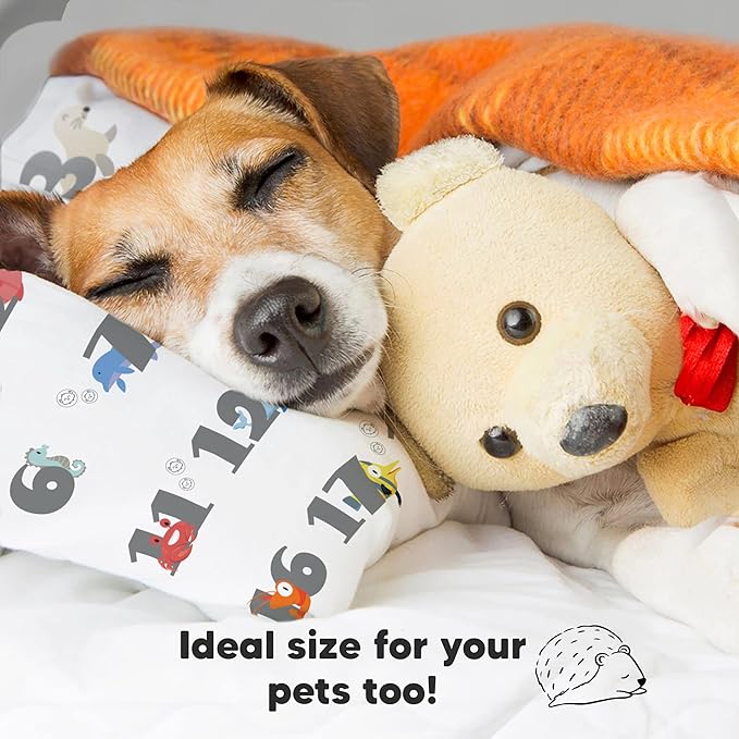 Bed Pillow