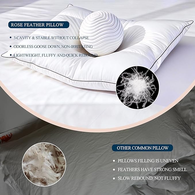 Bed Pillow - Queen - 2 Piece