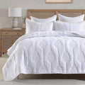Microfiber Quilt Set - Queen - 3 Piece