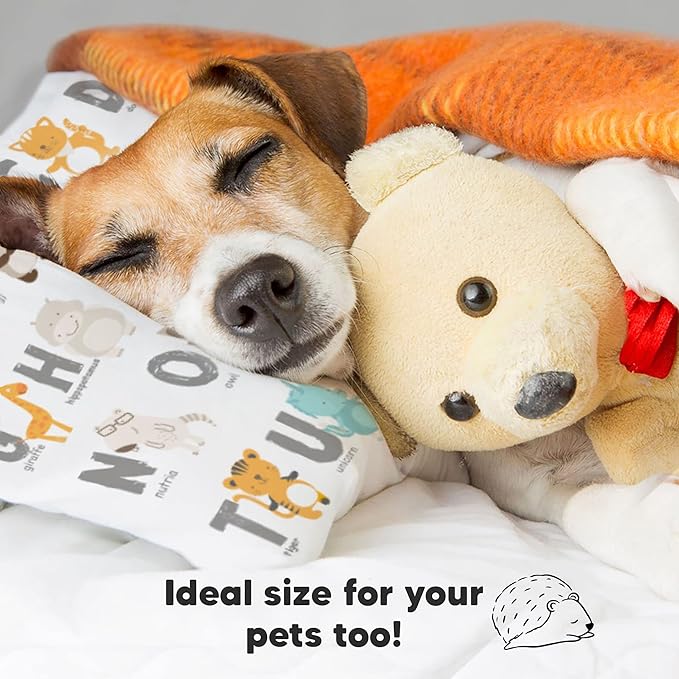 Bed Pillow