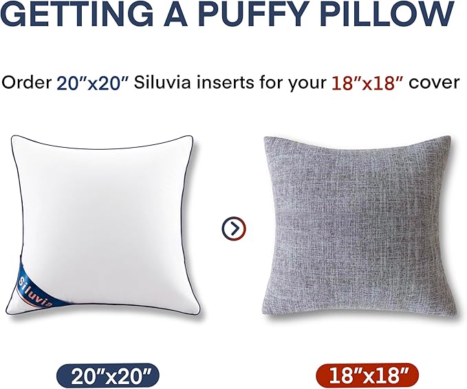 100% Cotton Pillow Insert - 2 Piece