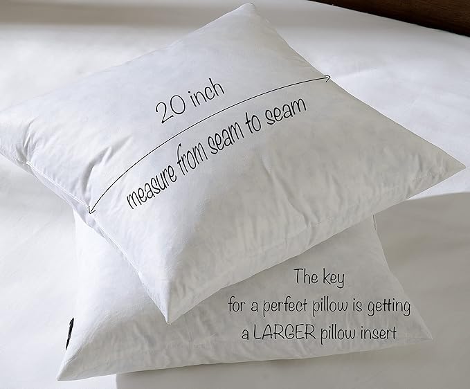 Pillow Insert - 2 Piece