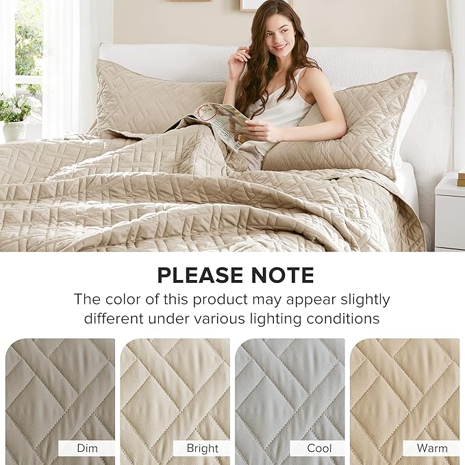Quilt Set - Queen - 3 Piece