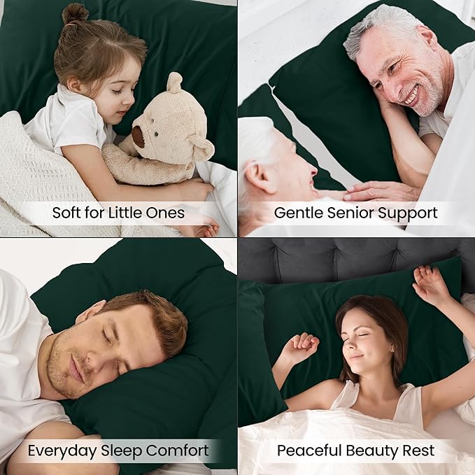 Microfiber Pillowcase Set - Queen - 20 x 30 in - 2 Pack
