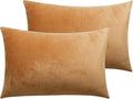 Flannel Pillowcase Set - 13 x 18 in - 2 Pack