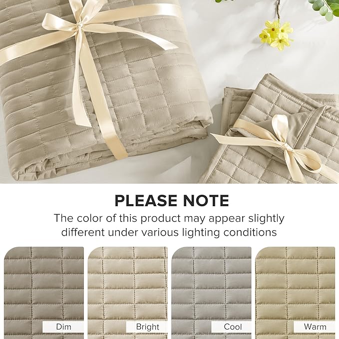 Quilt Set - Queen - 3 Piece