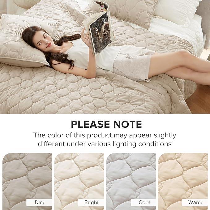 Quilt Set - Queen - 3 Piece