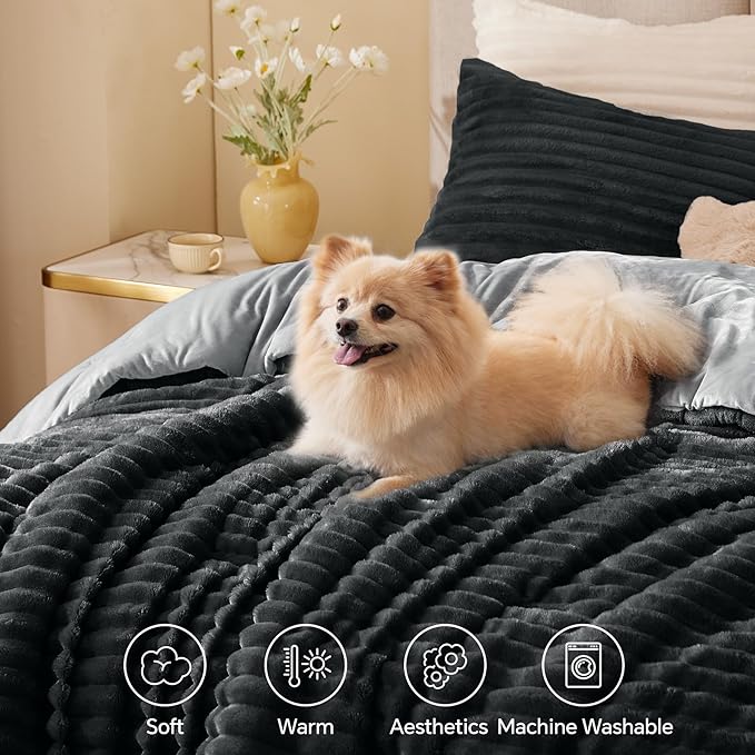 Comforter Set - Full